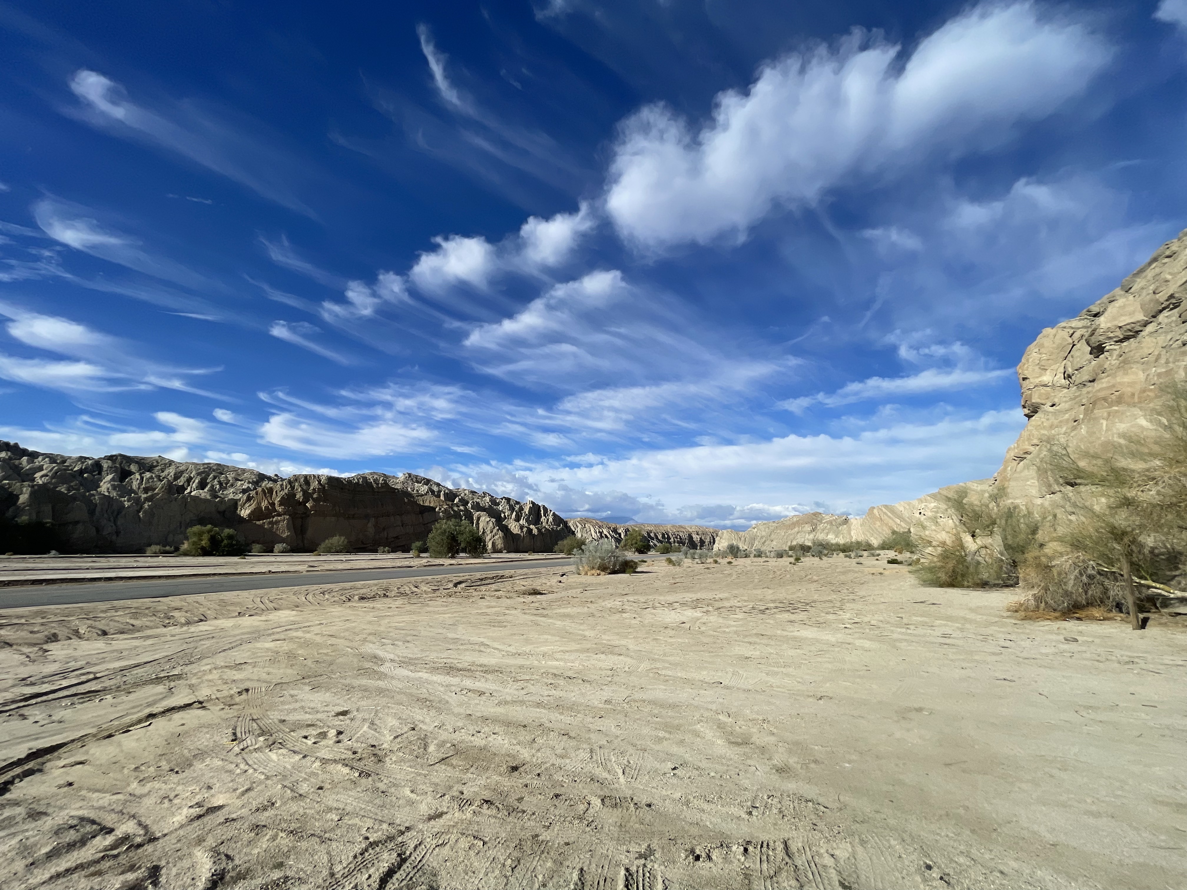 Real-world tire testing